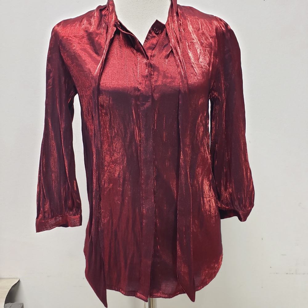 Ellison Womens Button Up LS Shirt Small Shimmer Whimsigoth Burgundy Red Diaco